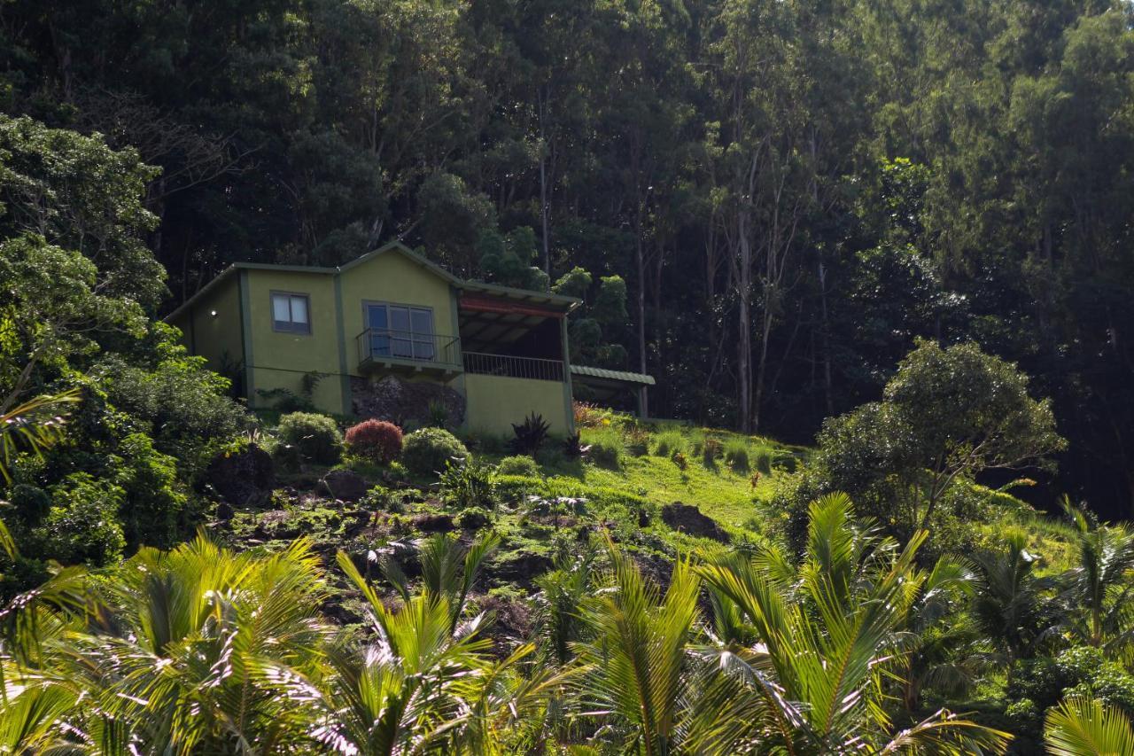The Green Shack Quatre Soeurs Εξωτερικό φωτογραφία